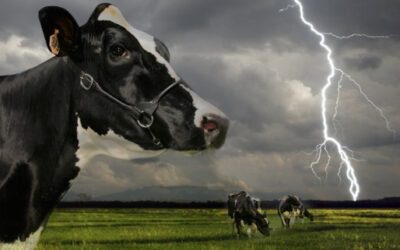 Rayos, gradiente de potencial y tierra